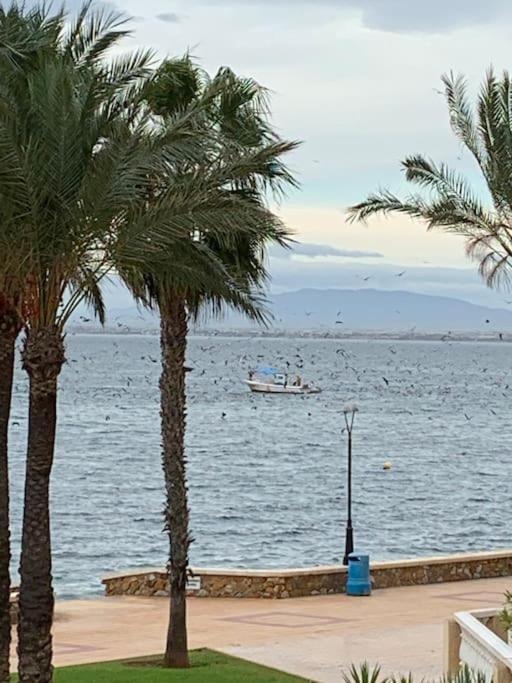 Apartment Jardines Del Mar, 30380 ラ・マンガ・デル・マール・メノール エクステリア 写真
